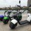 2016 Fashion Citycoco Harley Scooter 2 Wheels Electric Motorcycle With 2 Seats