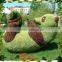 2015 best selling Various shapes artificial panda topiary decorative panada topiary