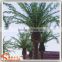 Hot sale fake decoration wood palm tree names miniature plastic palm tree decoration palm tree