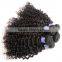 Sy Curly Human Braiding Hair, Different Types Of Curly Weave Hair