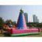 Giant outdoor inflatable sports games inflatable climbing mountain ,inflatable sports games