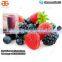 Extractor de jugo de frutas Forest|Máquina para hacer jugo de frutas