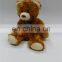 China wholesale custom graduation teddy bear