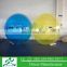 giant hamster water roller ball for humans WB67