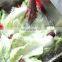 WASC-11 Automatic Electric Washer Type Meat Vegetable Frozen Food Cleaning & Thawing Machine with stainless steel