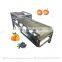 Fruit And Vegetable Peaches Tomato Grader Dragon Fruit Grading Machine