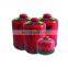 small camping butane gas canister and butane gas canister
