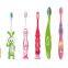 Manual Toothbrush