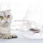 Transparent Multi-angle Pets Feeder Adjustable Bevel Water Bowl Neck Protection Cat Bowl