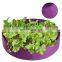 Black Color 30gallon Felt Grow Pots