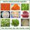 High quality and low price Vegetable shredder / Cabbage grinding machine / vegetable cutting machine for sale