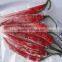 Frozen Big Red Chili exporting Vietnam