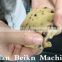 Good price automatic chocolate chip cookies machine for business use