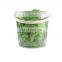 Custom Logo PP/Food Grade Plastic Bucket  Of All Sizes With Handle