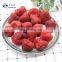 Sinocharm Good Taste Dried Red Fruit Strawberry Whole From Factory FD Strawberry