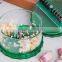 KH Steady Product Quality garlic press