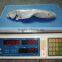 Frozen butterfish in fresh seafood (POMPANO) 100-120g/pcs B