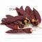 Sweet Paprika Powder 200asta