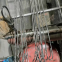 Venta al precio de fábrica. Cable galvanizado para amarrar algodón con enlace rápido. Ataduras de cable de doble bucle.