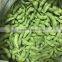 frozen fresh soybean