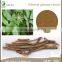 100% Pure Siberian Ginseng Root Extract Powder