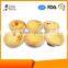 China manufactory hot selling foil container small round flan for oven