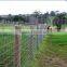 High tensile strength galvanized field fence/sheep fence/grassland fence