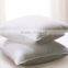 down proof hot selling cheap white plain feather pillow