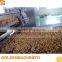 Good Performance Professional Automatic Honey Coated Peanut Production Line