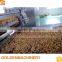 Continuous Honey Coated Peanut New Designed Peanut Coating Production Line