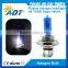  Super white 7500K Auto lamp, H4 12V55W halogen bulb