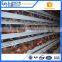 Factory 4 tier 120 capacity chicken layer cage for poultry in dubai