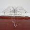 PVC Material Mini Light Weight Micro Printing Transparent Umbrella