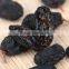 delicious snacks dried raisins Thompson Seedless Black Raisin