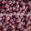High quality IQF Frozen Blackberry with best price