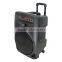 15 inch plastic professional audio wireless speaker with big power