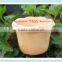 Korean flower pot small clay bonsai pot