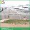 Arch roof type tunnel greenhouse plastic film greenhouse bespoke greenhouse