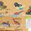 KADIS creative eco-frieddly puzzle 3d diy education dinosaur toys