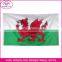 Promotional flag Popular high quality Cheap 100% polyester printed custom Country Flag