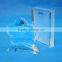 2016 hot sale custom acrylic trophy /medal with high end style