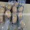 Fresh root of Lotus/ Lotus root whole or sliced
