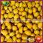New Bulk Sweet Organic Frozen Shelled Cooked Chestnut Food