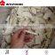 cultivated mushrooms frozen pleurotus eryngii price