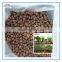 China Light hydroponics and aquaponics expanded clay pebbles aggregate for sale