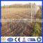 DM cheap sheep and goat fence panels for sale