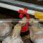 ^good Quality Farming Equipment Poultry Cup Drinker