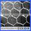Galvanized/PVC coated woven wire Hexagonal Hole Shape chicken wire mesh(Guangzhou Factory)