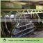 automatic poultry machine for chicken