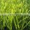 artificial synthetic grass turf, 18mm HOCKEY grass turf.